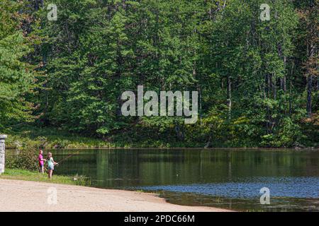 New Hampshire, Allenstown, parc national de Bear Brook, Banque D'Images