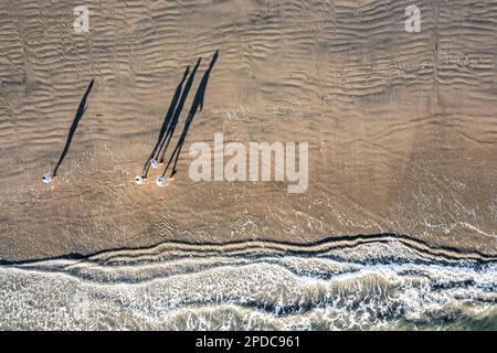 Drone aérien regardant directement sur Pacific Ocean Beach des personnes marchant avec des ombres sur la plage de sable à Huntington Beach, Californie Banque D'Images