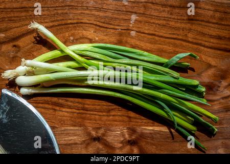 Légumes de jardin à oignons verts alignés sur une planche à découper en bois foncé avec lame de couteau Banque D'Images