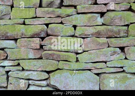 Gros plan d'une section de vieux mur de pierre sèche teinté de lichen bleu et vert Banque D'Images