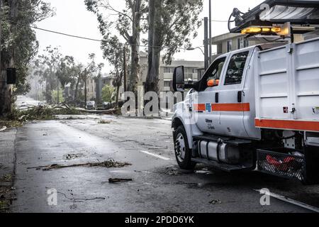 Burlingame, États-Unis. 14th mars 2023. Un équipage de Caltrans étudie les dégâts comme un arbre, soufflé par des vents de 50 MPH, bloque El Camino Real à Burlingame, Californie, mardi, 14 mars 2023. Des vents violents et une rivière atmosphérique ont frappé l'État au cours des dernières 24 heures. Photo de Terry Schmitt/UPI crédit: UPI/Alay Live News Banque D'Images