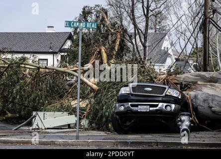 Burlingame, États-Unis. 14th mars 2023. Un arbre, soufflé par des vents de 50 km/h, écrase une voiture garée le long de El Camino Real à Burlingame, en Californie, mardi, 14 mars 2023. Au moins 275 000 irésidentes sont sans pouvoir comme des vents ferces et une rivière atmosphérique hve battue l'état dans les dernières 24 heures. Photo de Terry Schmitt/UPI crédit: UPI/Alay Live News Banque D'Images