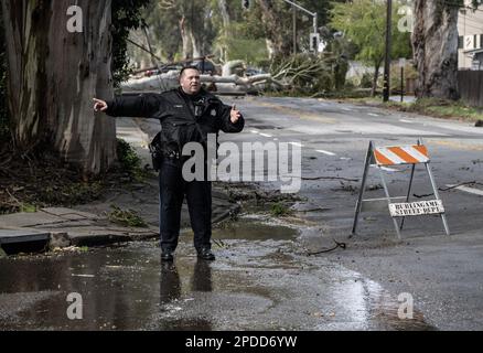 Burlingame, États-Unis. 14th mars 2023. La police détourne la circulation comme un arbre et des lignes électriques, soufflé par les vents de 50 MPH, bloquer El Camino Real à Burlingame, Californie mardi, 14 mars 2023. Au moins 275 000 irésidentes sont sans pouvoir comme des vents ferces et une rivière atmosphérique hve battue l'état dans les dernières 24 heures. Photo de Terry Schmitt/UPI crédit: UPI/Alay Live News Banque D'Images