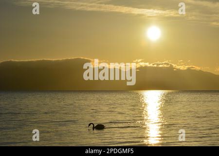 Les montagnes et les eaux autour du lac Tarim sont un paysage unique et magnifique qui vaut la peine d'être vécu Banque D'Images