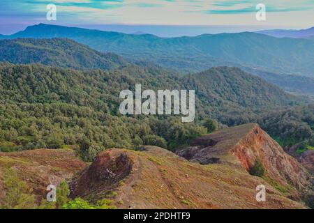 Vue panoramique sur le paysage près du volcan Mont Kelimutu à la fin de Flores, avec un paysage vallonné envahi par la forêt tropicale. Banque D'Images