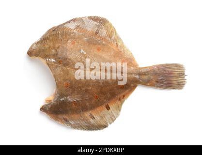 Vue latérale de poissons flounder congelés crus sans tête isolés sur du blanc Banque D'Images