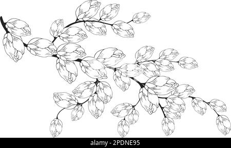 Une belle branche en fleurs, richement décorée avec des fleurs, des bourgeons et des feuilles. Dessin à la main. Illustration de Vecteur