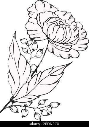 Une belle branche en fleurs, richement décorée avec des fleurs, des bourgeons et des feuilles. Dessin à la main. Illustration de Vecteur