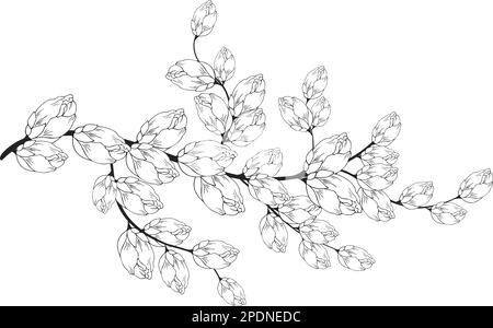Une belle branche en fleurs, richement décorée avec des fleurs, des bourgeons et des feuilles. Dessin à la main. Illustration de Vecteur