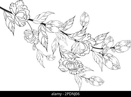 Une belle branche en fleurs, richement décorée avec des fleurs, des bourgeons et des feuilles. Dessin à la main. Illustration de Vecteur