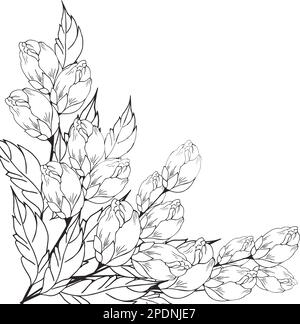 Une belle branche en fleurs, richement décorée avec des fleurs, des bourgeons et des feuilles. Dessin à la main. Illustration de Vecteur