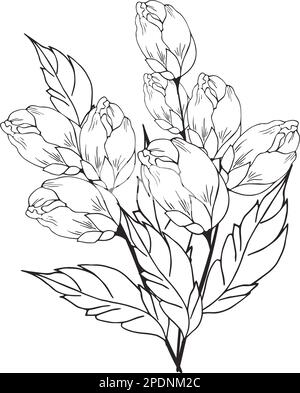 Une belle branche en fleurs, richement décorée avec des fleurs, des bourgeons et des feuilles. Dessin à la main. Illustration de Vecteur