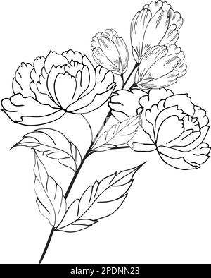 Une belle branche en fleurs, richement décorée avec des fleurs, des bourgeons et des feuilles. Dessin à la main. Illustration de Vecteur
