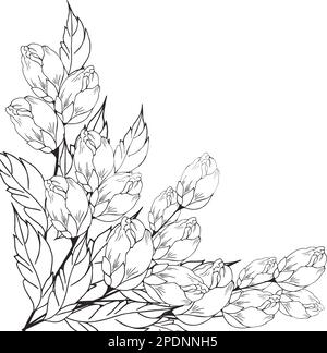 Arrière-plan floral doux des branches et boutons de fleurs, arrangement de fleurs. Dessin à la main. Pour un décor stylisé, des invitations, des cartes, des affiches, Illustration de Vecteur