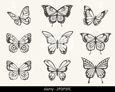 Ensemble de papillons dessinés à la main. Papillon vintage esquisse, papillons papillons papillons papillons papillons, dessins rétro avec ailes ouvertes Illustration de Vecteur