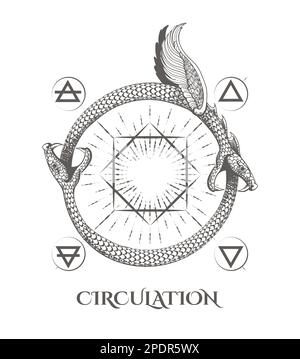 Deux serpents Ouroboros mangent leurs voiles et éléments de la nature symbole de circulation ésotérique concept isolé sur blanc. Illustration vectorielle. Illustration de Vecteur