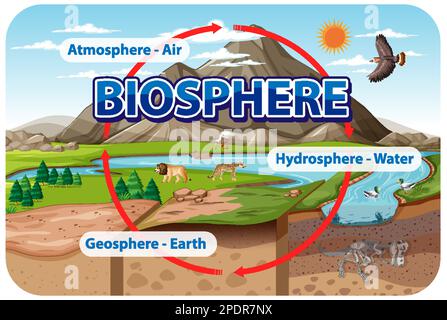 Infographie sur l'écologie de la biosphère pour l'illustration de l'apprentissage Illustration de Vecteur