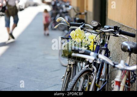 Les vélos garés sur les belles rues médiévales de Lucques, ville connue pour sa ville de l'époque Renaissance intacts les murs, Toscane, Italie. Banque D'Images