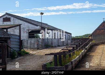 Bâtiment et cour de ferme laitière délabrés Banque D'Images