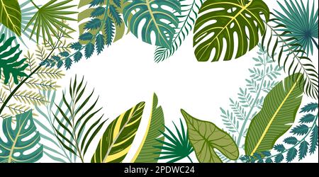 Cadre plat avec feuilles vertes de divers arbres exotiques tropicaux et plantes sur fond blanc illustration vectorielle Illustration de Vecteur