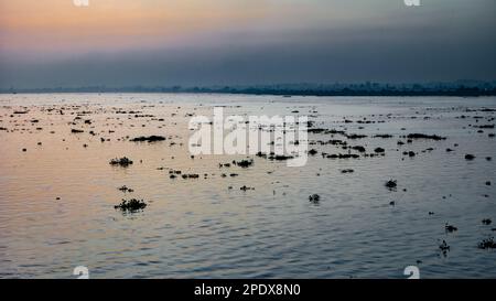 Une vue sur le Mékong avec ses amas de jacinthe d'eau flottante à long Xuyen dans le delta du Mékong au Vietnam. Smog des fours à briques à proximité Banque D'Images