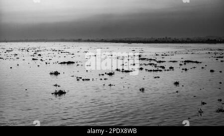 Une vue sur le Mékong avec ses amas de jacinthe d'eau flottante à long Xuyen dans le delta du Mékong au Vietnam. Smog des fours à briques à proximité Banque D'Images