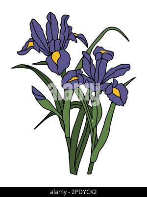 Iris février naissance mois fleur vecteur art. Illustration de Vecteur
