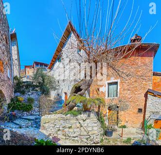 La vieille rue en pierre avec des maisons historiques est décorée avec un petit jardin avec des massifs de fleurs, des plantes vertes et un arbre incliné, Albogasio, Valsolda, Italie Banque D'Images