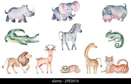 De belles illustrations tropicales aquarelle d'animaux, de plantes, de zèbre, de girafe, de tigre, lion, éléphant, rhinocéros, sloth. Isolé sur fond blanc Banque D'Images