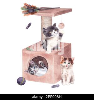 Trois chatons mignons jouent dans une maison de chat avec des jouets isolés sur un fond blanc. Illustration aquarelle. Pour l'impression, divers modèles ou cartes postales. Banque D'Images