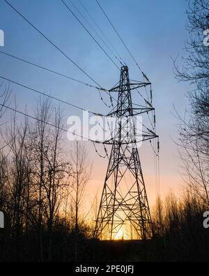 Lignes haute tension au coucher du soleil dans la forêt d'automne, tour de transmission électrique haute tension Banque D'Images