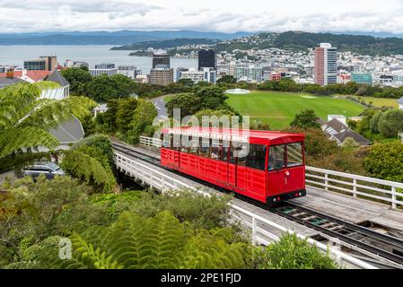 Téléphérique de Wellington, funiculaire de Wellington, en Nouvelle-Zélande, entre Lambton Quay, la principale rue commerçante, et Kelburn. Vue de dessus sur la ville Banque D'Images