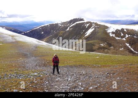 En regardant vers Munro Braigh Coire Chruinn-bhalgain, Carn Nan Gabhar, Beinn a Ghlo Massif, Scottish Highlands Perthshire, Écosse Banque D'Images