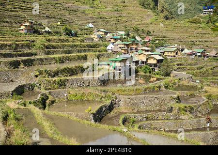 Vue panoramique sur les rizières en terrasses de Banaue aux Philippines, avec un petit village. Banque D'Images