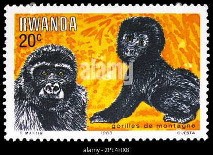 MOSCOU, RUSSIE - 17 FÉVRIER 2023 : timbre-poste imprimé au Rwanda montre la Gorilla de montagne (Gorilla beringei beringei), série de gorilles de montagne, vers Banque D'Images