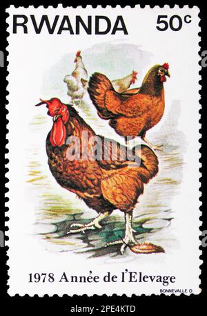 MOSCOU, RUSSIE - 17 FÉVRIER 2023 : timbre-poste imprimé au Rwanda montre du poulet (Gallus gallus domesticus), série de l'année de l'élevage, vers 1978 Banque D'Images