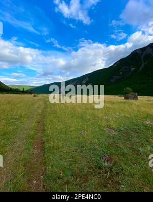 Un homme voyageur seul avec un grand sac à dos marche le long d'une route dans l'herbe près d'une montagne en Altai en Russie. Banque D'Images