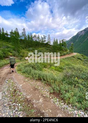 Un voyageur seul avec un grand sac à dos marche le long d'une route près d'une montagne en Altai en Russie. Banque D'Images