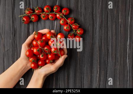 Tomates cerises dans les mains et plusieurs branches de tomate sur fond de bois vue de dessus avec place pour le texte. Une poignée de tomates fraîches dans les palmiers femelles Banque D'Images