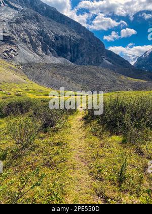 Une fille de voyageur marche seule avec un grand sac à dos au bout d'un chemin près de hautes falaises en Altai en Russie sous les nuages pendant la journée. Banque D'Images