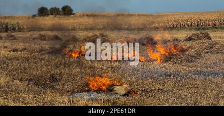 incinération des déchets agricoles - smog et pollution. Émissions nocives de la combustion du foin et de la paille dans les champs agricoles. Banque D'Images