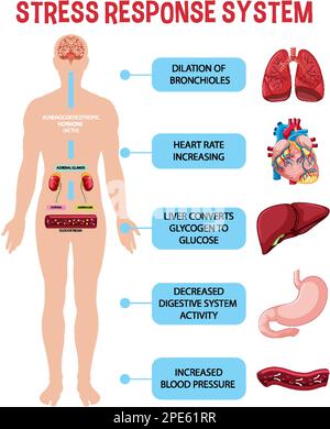 Illustration du schéma du système de réponse aux contraintes Illustration de Vecteur