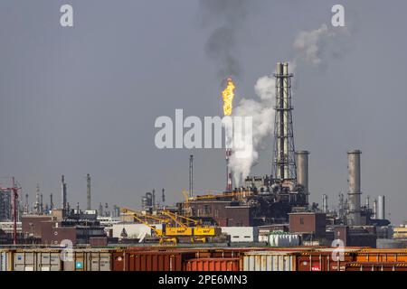 Site de BASF, vue extérieure avec cheminées fumeurs, Ludwigshafen, Rhénanie-Palatinat, Allemagne Banque D'Images