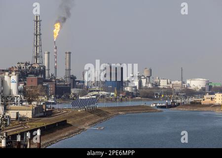 Site de BASF, vue extérieure avec cheminées fumeurs, Ludwigshafen, Rhénanie-Palatinat, Allemagne Banque D'Images