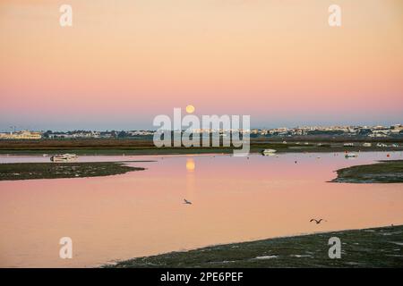 Tôt le matin à Faro, eaux de Ria Formosa avec lune et oiseaux, Algarve, Portugal Banque D'Images