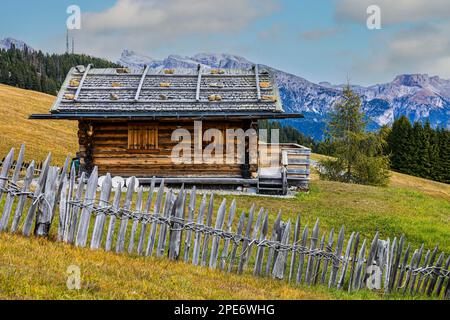 Cabane alpine dans la prairie alpine d'automne, entourée d'une clôture en bois, Alpe di Siusi, Val Gardena, Dolomites, Tyrol du Sud, Italie Banque D'Images