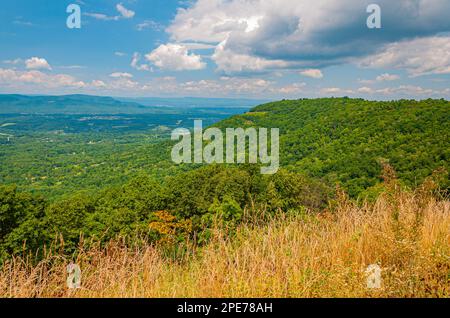 Début août dans les Appalaches, Virginie États-Unis, Virginie Banque D'Images
