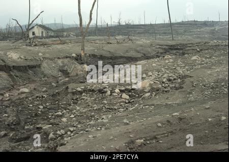 Riverbed et champ couvert de cendres, maisons endommagées et arbres morts, de la récente éruption volcanique, Kepuharjo, Mont Merapi, Central Java Banque D'Images