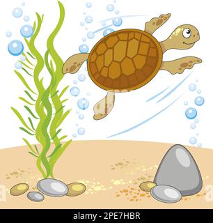 illustration vectorielle du monde sous-marin avec tortue, fond sablonneux, rochers, algues, bulles fond blanc. Illustration de Vecteur