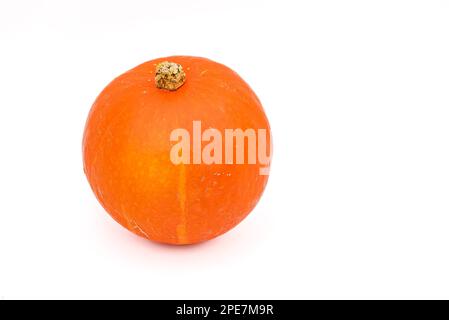 Une citrouille biologique Hokkaido comme une nourriture saine isolée contre le blanc dans le studio Banque D'Images